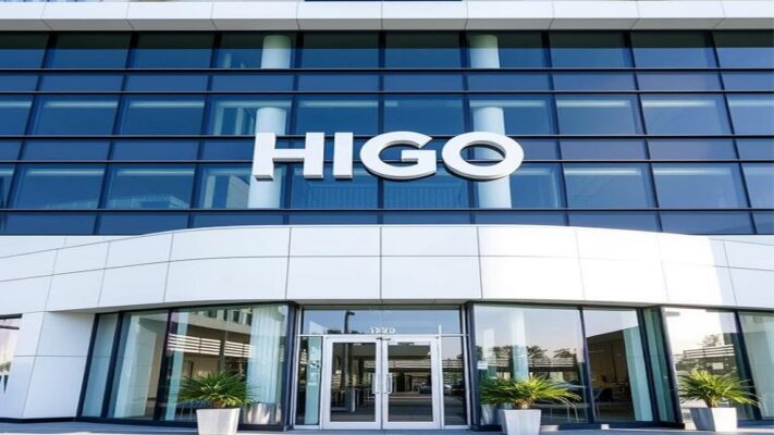 giới thiệu về công ty HIGO